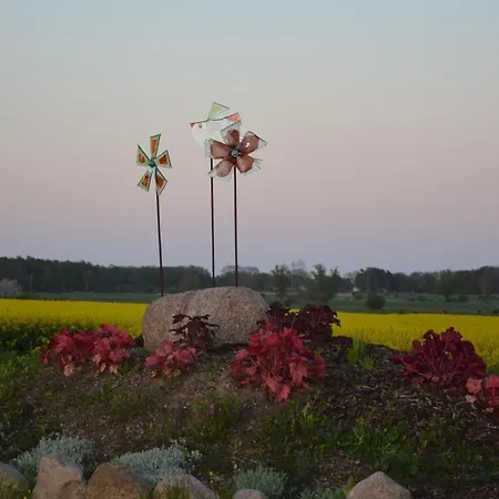 Reethaeuser Auf Ruegen Lejlighedshotel Middelhagen