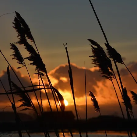 Reethaeuser Auf Ruegen